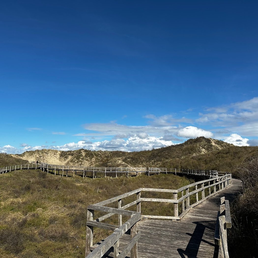 Sentier Découverte De La Dune Parabolique 1